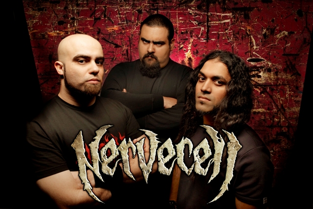 NERVECELL 2011 2