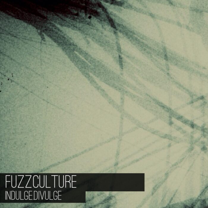 Album Review – Indulge Divulge by FuzzCulture
